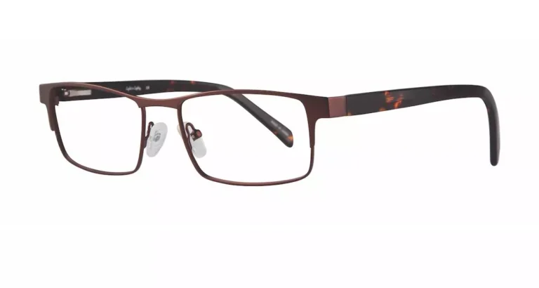 Eight To Eighty CLASSY BROWN Eyeglasses Multicolor 53mm Men