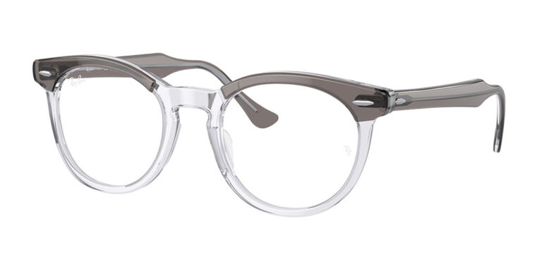 Ray-Ban RB5598F EAGLEEYE 8111 Eyeglasses Gray 51mm Men