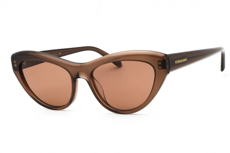 Salvatore Ferragamo SF1103S 232 Sunglasses Transparent Brown 55mm Women