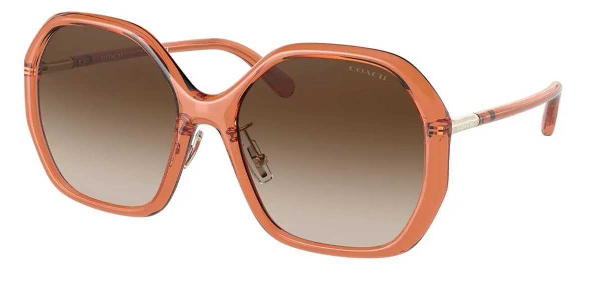Women’s Coach Tortoise Sunglasses with Silver Accents S829 Bronwen Amber Horn Coach Eyewear - Etsy Singapore main image 2