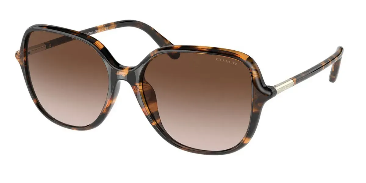 Coach HC -8003 Lillian Black Sunglasses Coach Sunglasses Frame Only HC 8011B (L022 Reese) 5040/13  main image 4